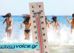 Κλοιός καύσωνα προ των πυλών | Έκτακτη αναβολή δακοκτονίας στη Λέσβο