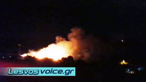 Έκτακτο | Φωτιά σε οικόπεδο στον Γαϊδαρανήφορο | (Βίντεο)