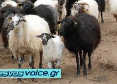 Αρχίζει ο δεύτερος κύκλος ιχνηλάτησης για τον αφθώδη πυρετό