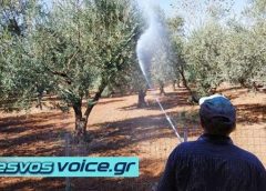 Ξεκινάει αύριο (16/09) ο 4ο ψεκασμός δακοκτονίας σε περιοχές της Λέσβου | ΑΝΑΛΥΤΙΚΑ