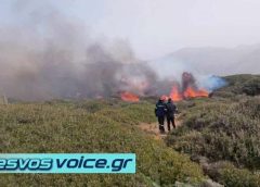 Πυρκαγιά σε δύσβατη περιοχή στην Ρογκάδα Λέσβου | Κινητοποίηση εναέριων μέσων