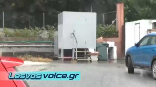 Θεσσαλονίκη | Νεκρό έμβρυο βρέθηκε δίπλα σε κάδο απορριμάτων | (ΒΙΝΤΕΟ)