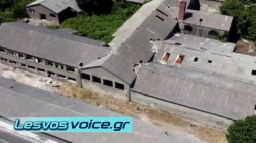 Να αντιμετωπιστεί άμεσα το πρόβλημα του αμιάντου στις παλιές στέγες ζητά το ΤΕΕ | (ΒΙΝΤΕΟ)