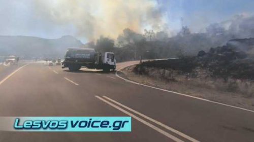 Λέσβος | Περιορίστηκε η πυρκαγιά στη Φίλια | Υπό έλεγχο η πυρκαγιά στο Κεράμι | (ΒΙΝΤΕΟ)