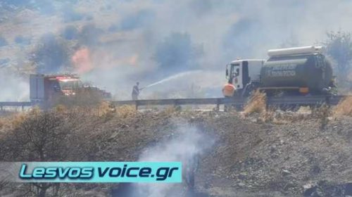Λέσβος | Περιορίστηκε άμεσα φωτιά στην περιοχή της Μονής Λειμώνος | (ΒΙΝΤΕΟ)