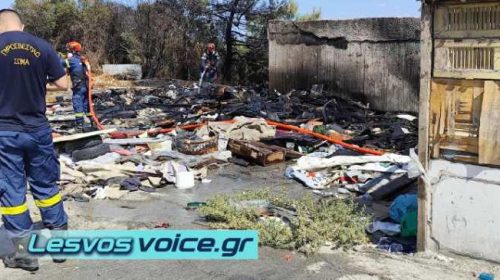 Περιορίστηκε άμεσα φωτιά στην περιοχή της Παγανής | (ΒΙΝΤΕΟ)
