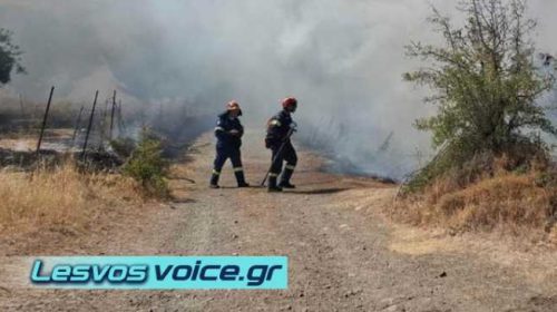 Fire Vrisa