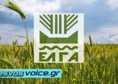 Δυτική Λέσβος | Ξεκινούν από 14/11 οι αιτήσεις για τους πληγέντες παραγωγούς