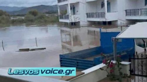 Λέσβος | “Βούλιαξε” η Καλλονή από την κακοκαιρία | «Έσπασε» σε 2 σημεία ο ποταμός Τσικνιάς | (ΒΙΝΤΕΟ)