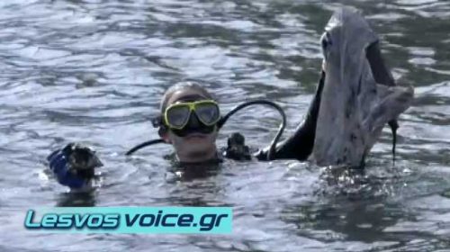 Υποθαλάσσιος καθαρισμός στο λιμανάκι της Βαρειάς από την καταδυτική ομάδα του Πανεπιστημίου Αιγαίου | (ΒΙΝΤΕΟ)