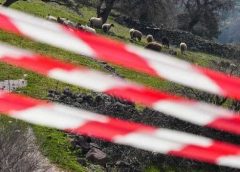 Ξανά σε κινητοποιήσεις οι κτηνοτρόφοι της Λέσβου για τον αφθώδη πυρετό