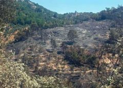 Βελτιωμένη η εικόνα της πυρκαγιάς στο Πλωμάρι | Μάχη με τις διάσπαρτες εστίες | (ΒΙΝΤΕΟ)