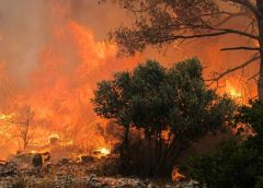 Ισχυρές δυνάμεις της πυροσβεστικής για την αντιμετώπιση της πυρκαγιάς στην παλιά χωματερή Πλωμαρίου