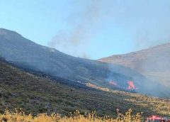 Πλωμάρι | Πάνω από 600 στρέμματα με δέντρα και θαμνότοπους παραδόθηκαν στις φλόγες