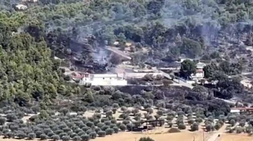 Πτώση μαχητικού αεροσκάφους στην «Athens Flying Week 2026» στην Τανάγρα – Νεκροί οι δύο πιλότοι | (ΒΙΝΤΕΟ)