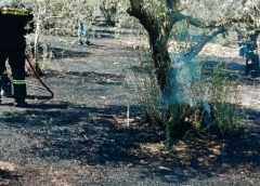 Λέσβος | 12μηνη αναστολή πλειστηριασμών και κατασχέσεων για τους πληγέντες από φωτιά