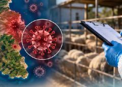 Σε κρίσιμο σταυροδρόμι η κτηνοτροφία της Λέσβου λόγω του αφθώδους – Οι αποζημιώσεις, οι έλεγχοι και η επόμενη ημέρα
